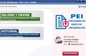 QUE ES EL PEI - SUNAT